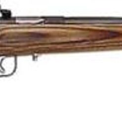 Keystone Crickett 22LR, 16.12", Brown Laminate, Blued