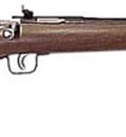Keystone Crickett 22LR,16.12", American Walnut Blue, Davey Cricket