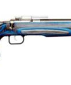 Keystone Crickett 22LR Target SS/Laminated