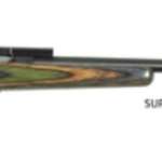 Keystone Crickett 22LR Blued/Camo Laminate, Threaded Barrel