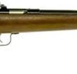 Keystone Crickett 22LR, Blued, Walnut Stock