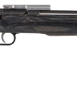Crickett Black Target 22LR, 16.125" Barrel, Laminate Thumbhole Black Stock, Stainless Steel