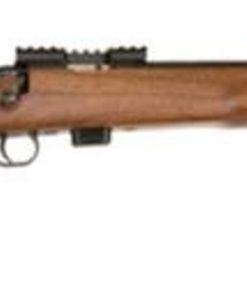 Benjamin 722 Varmint 22LR 16.1" Barrel Blue Finish Laminate Thumbhole Stock