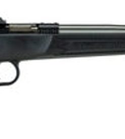 Cricket Black Synthetic 22LR, Stainless, 2 Spacers