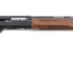 Benelli Montefeltro 20G 24 Walnut