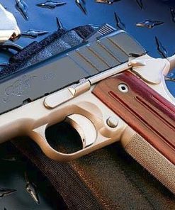 Kimber Ultra Aegis II 9mm