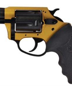 Charter Arms Undercoverette .32 H&R 2" Barrel Gold and Black 5rd