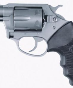 Charter Arms Pathfinder, .22 LR, 2" Barrel, 6rd, Stainless