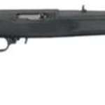 Ruger 10/22 Carbine 22LR, 18.5" Barrel, Synthetic Stock, 10rd Mag