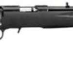 Ruger American Compact 22LR, 18" Threaded Barrel, Composite Stock,, rd, 10 rd