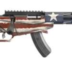Ruger Precision, 22 LR, 18" Threaded Barrel, 15rd, American Flag