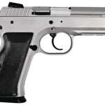 EAA Witness 40SW Steel Frame, Full Size, 15 Rd Mags