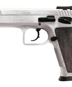 Witness Elite Stock 2 10mm 4.5" Barrel Competition Hard Chrome 15rd