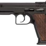 EAA WITNESS STOCK 3 10MM 14RD MAG
