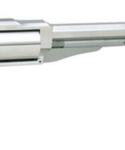 NAA The Earl .22 Mag 6" Barrel Faux Loading Lever SS Finish 5 Shot