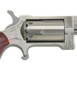 North American Arms NAA Sidewinder 22MAG 1"