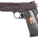 Sig 1911 45 ACP 4.2In Spartan ORB SAO Siglite Spartan Grip (2) 8RD Steel MAG