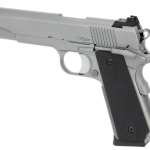 Dan Wesson Valor 10mm 1911 5" Barrel Night Sights, SS Finish 8rd Mag