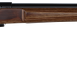 CZ 457 AT-One Varmint, .17 HMR, 24" Barrel, 5rd, Boyd Adjustable Stock