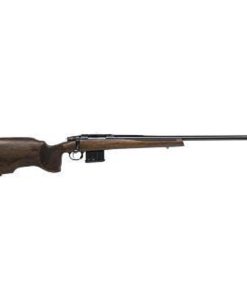 CZ 557 Varmint, .243 Win, 25.6", 10rd, Turkish Walnut Stock, Blued