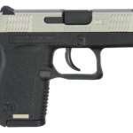 Diamondback Model DB380 .380 ACP 2.8 Inch Barrel Stainless Steel Slide Polymer Frame 6 Round