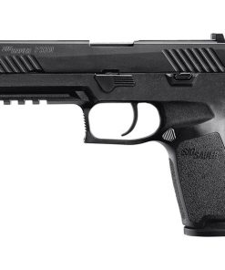 Use updated model 798681474295
