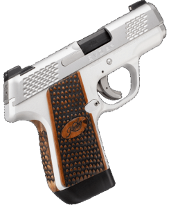 Kimber EVO SP Stainless Raptor 9mm